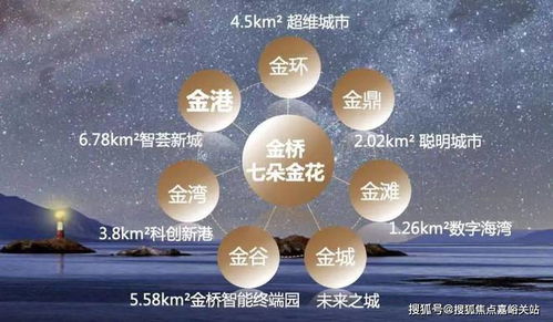 金港星海灣項目全解析 從戶型價格到人工智能行業應用集成